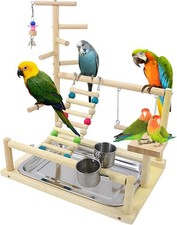 Wellensittich Spielplatz