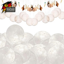 Muschel Perlmutt Scheiben zum