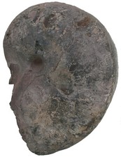 Lias  Cenoceras belmontense
