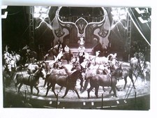 Staatszirkus der DDR, Günter und Rosemarie Dorning, Pferdefreiheit, AK, ungelauf