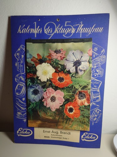 Edeka kalender der klugen - der,