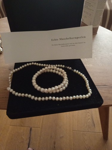 Muschelkernkette