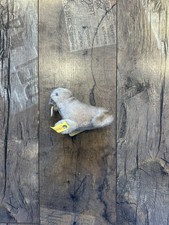 TOP! Steiff 1474/10 Robbe