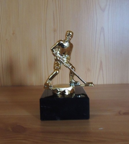 Eishockey figur aus - 1,