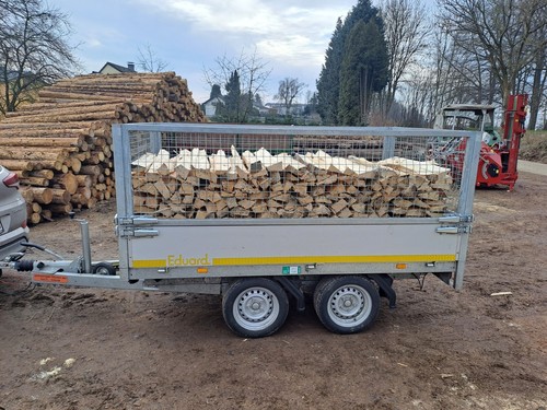 Brennholz buche fiche - /,