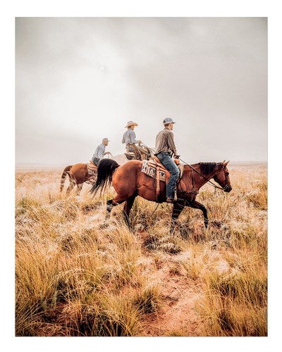 Cowboys auf pferden wandkunst - cowboys,