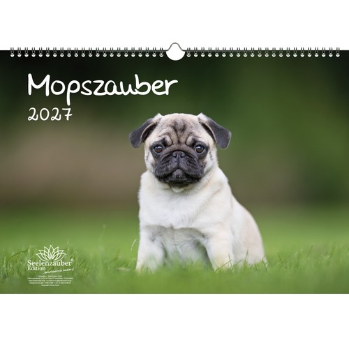 Mopszauber din kalender - a3,