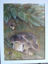 Cyrillic inscribed porcini - inscribed, °porcini