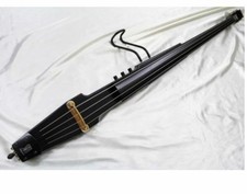 Akustische E-Bassgitarre SWB