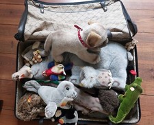 Steiff Tiere Sammlung Konvolut Nashorn, Hund Bären, Robbe, sehr guter Zustand