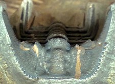 Trilobit Trilobite extremely