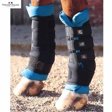 Premier Equine Bi-Polar Magnet