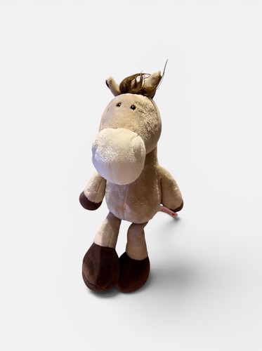 Nici horse club pferd gaul - horse,