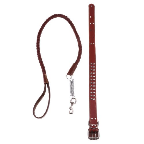 Leder hundeleine acht - hundeleine,