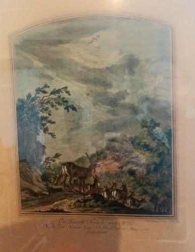 Johann elias ridinger - johann,