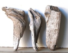 Treibholz Schwemmholz