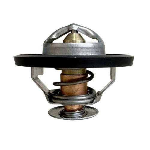 Thermostat für case - thermostat, mm