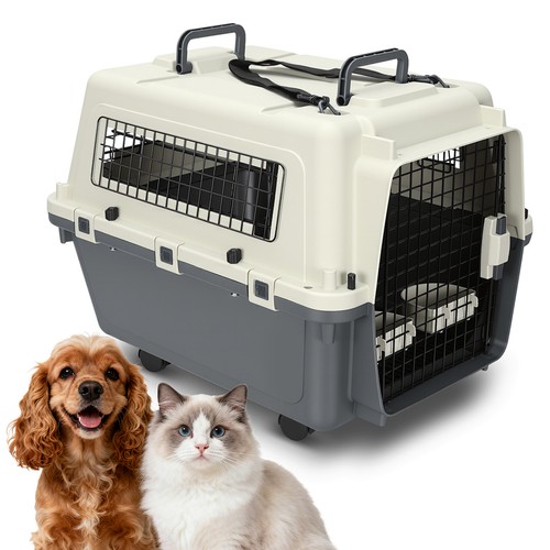 Pet transportbox - pet,