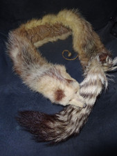 Pelzkragen, Fell, Nerz