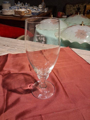 Hansa biertulpen - hansa,