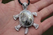 P067g shell mother of pearl