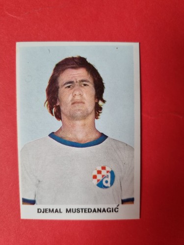 Djemal mustedanagic hnk - djemal,