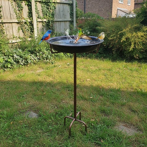 Vogeltränke vogelbad vogel - vogelbad,