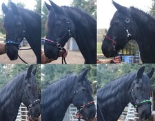 Gebisslose Trense REITHALFTER