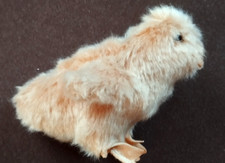 Steiff Küken KNOPF IM OHR 