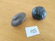 159 Moqui Marbles -Lebende