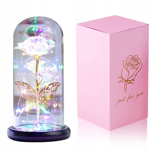 Ewige mehrfarbige rose - ewige,