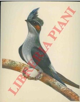 Artis brüssel - brüssel,
