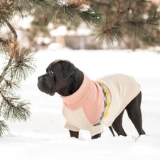 Hundepullover Pulli großer