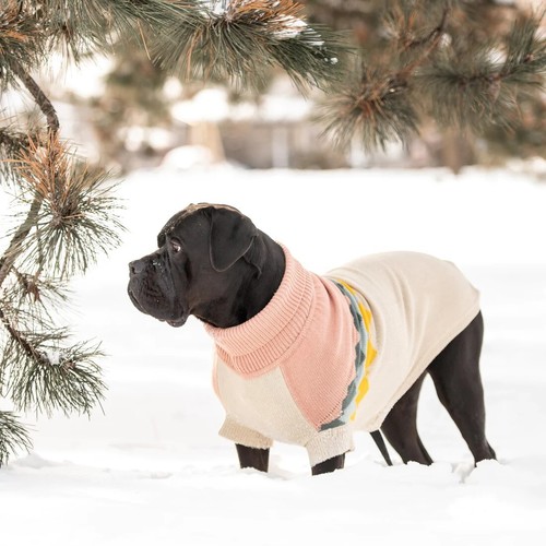 Hundepullover pulli großer - hundepullover,
