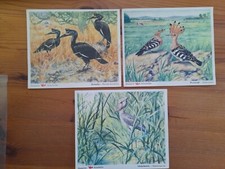 Voss Margarine Kunstbilder -