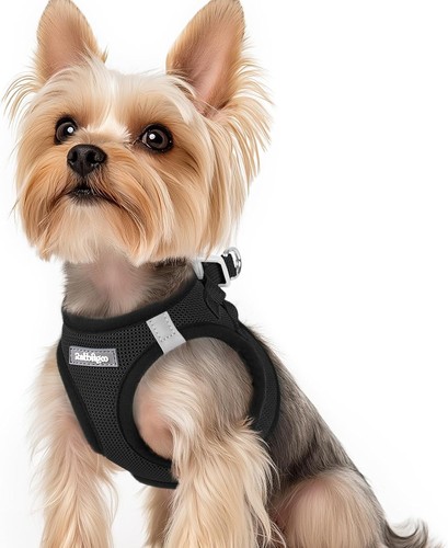 Rabbitgoo hundegeschirr kleine - rabbitgoo,