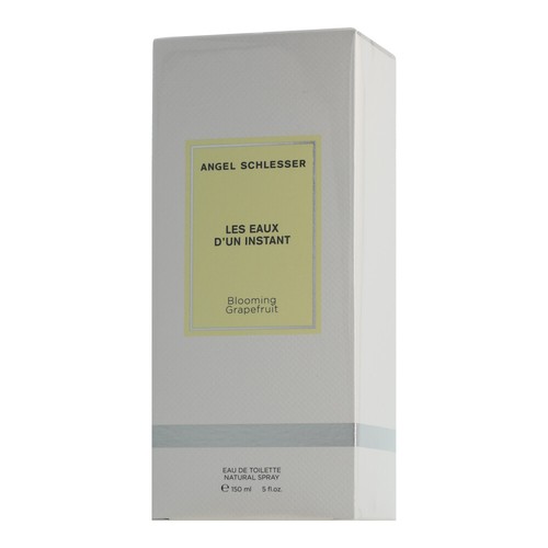 Angel schlesser les - schlesser,