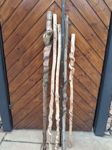 Knotenstock wanderstock stenz - knotenstock,