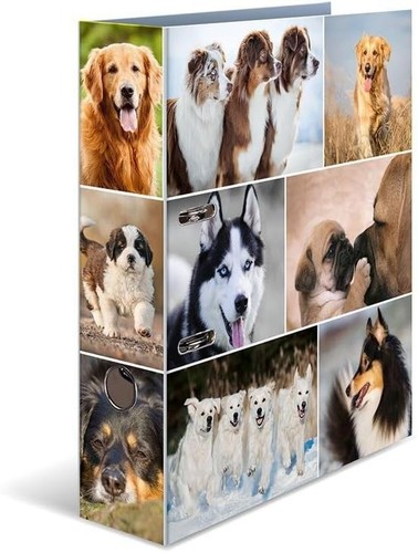 Ordner hunde cm - cm, breit