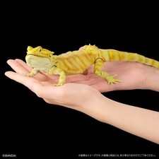 Bandai Diversity of Life on