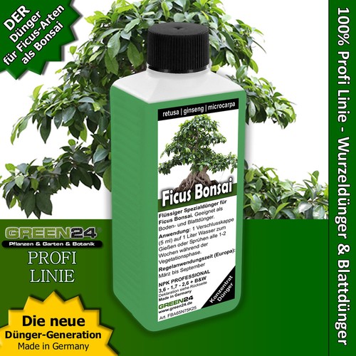 Ficus ginseng retusa