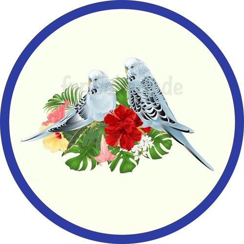 Vogel wellensittich eßbar - vogel,