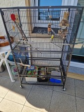 nymphensittichkäfig mit Zubehör 