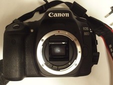 Canon EOS 80D 24.2 MP