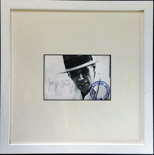 Joseph beuys - joseph,