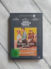 Sechs schwarze Pferde -