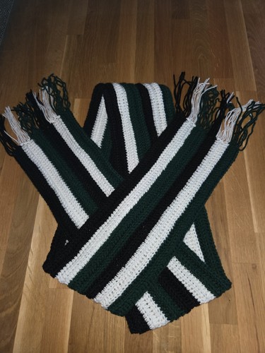 Borussia mönchengladbach fan - mönchengladbach,