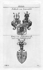 1820 Schleiss Löwenfeld Schlichtegroll Wappen Adel Heraldik Kupferstich