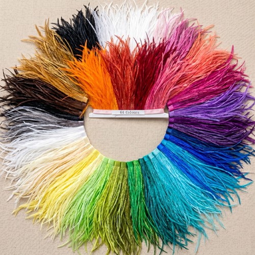 Farben straußenfeder - farben,
