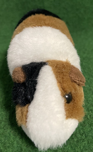 Meerschweinchen vitakraft - meerschweinchen,